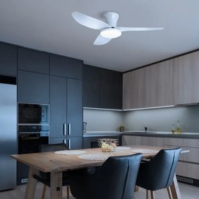 Brilagi - LED stmievateľný stropný ventilátor LED/30W/230V 3000-6500K biely + DO