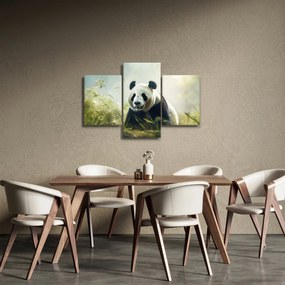 Obraz - Panda (90x60 cm)