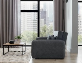 Rozkladacia 2-miestna pohovka pohovka LAINE, sivá