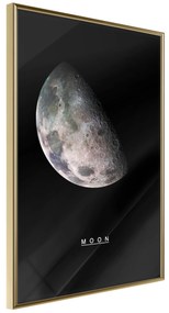 Artgeist Plagát - Moon [Poster] Veľkosť: 40x60, Verzia: Zlatý rám
