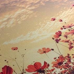 Obraz - Lúka s kvetmi (120x50 cm)