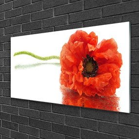Skleneny obraz Kvety príroda 140x70 cm