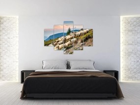 Obraz - Stádo oviec (150x105 cm)