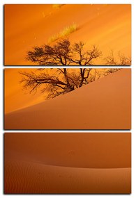 Obraz na plátne - Červené piesočné duny - obdĺžnik 7133B (90x60 cm  )