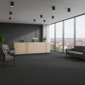 Lentex, AKCIA: 110x530 cm PVC podlaha - lino Flexar PUR 603-04 čierna, šíře, čierna, bez podkladu, kancelária