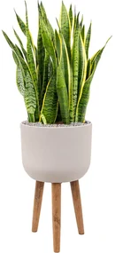 Refined Retro with feet Logan natural white 36x63 cm