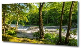 Foto obraz sklenený horizontálny Rieka v lese osh-66915556