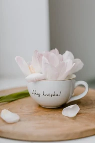Bella Rose Porcelánový hrnček Ahoj kráska 300 ml
