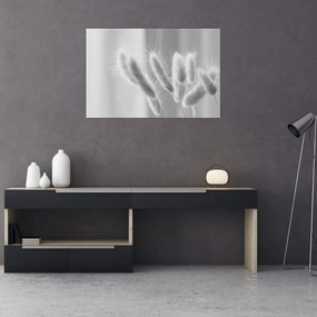 Obraz - Bunny tail grass (90x60 cm)
