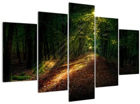 Obraz lesnej cesty (150x105 cm)