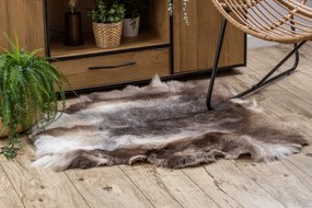 Koberec RENIFER POK018 hnedý / sivý