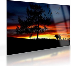 Sklenený obraz - Silueta vlka (70x50 cm)