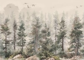 Obraz - Borovicový les I., aquarel (70x50 cm)