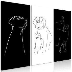 Artgeist Obraz - Domestic Animals (3 Parts) Veľkosť: 90x60, Verzia: Na talianskom plátne