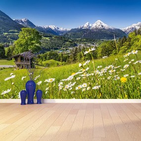 Fototapeta Vliesová Bavorsko hory 152x104 cm