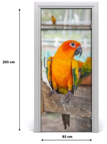 Samolepiace fototapety na dvere papagáj 85x205 cm