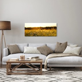 Obraz orosenej trávy (120x50 cm)