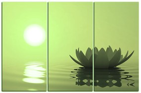 Obraz na plátne - Zen lotus 1167ZB (105x70 cm)