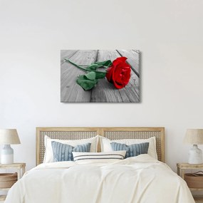 Obraz - Červená ruža so zelenou stonkou (90x60 cm)