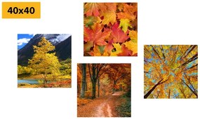 Set obrazov krásna jesenná príroda