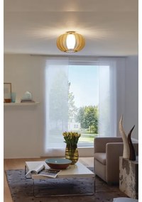 Eglo 95597 - Stropné svietidlo STELLATO 1 1xE27/60W/230V