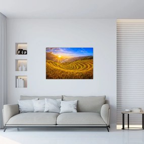 Obraz - Ryžové terasy vo Vietname (90x60 cm)
