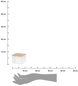 Kúpeľňová nádoba na vatové tyčinky Elegan, číra/s drevenými prvkami