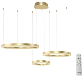 Azzardo AZ4973 - LED Stmievateľný luster na lanku HALO LED/120W/230V zlatá + DO AZ4973