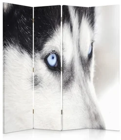 Gario Paraván Sibírsky husky Rozmery: 145 x 170 cm, Prevedenie: Otočný paraván 360°