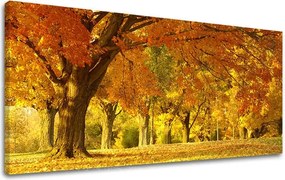 Obraz na stenu PANORÁMA STROMY