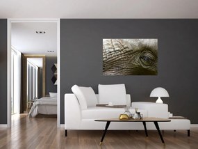 Obraz - Detailné fotografie starého slonieho oka (90x60 cm)