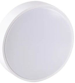 LED Kúpeľňové stropné svietidlo RENE LED/15W/230V IP44 biela
