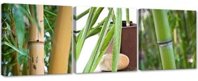 Obraz na plátně třídílný Bamboo Zen Spa - 150x50 cm