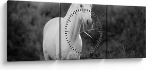Obraz bieleho koňa na lúke, čiernobiela (s hodinami) (90x30 cm)