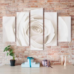 Manufakturer -  Päťdielny obraz Pekná biela ruža