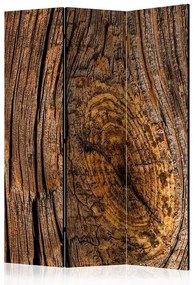Paraván - Old Tree [Room Dividers]