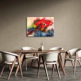 Obraz červených papagájov ara (70x50 cm)
