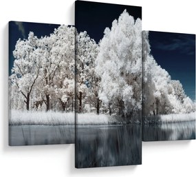 Obraz - Snehobiele stromy (90x60 cm)