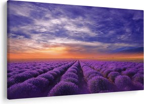 Obraz levanduľového pole (90x60 cm)