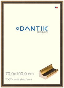 DANTIK rám na obraz 70x100 | TOOTH malá zlato černá (Plexi Čiré)