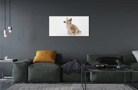 Sklenený obraz Sediaci malého psa 125x50 cm