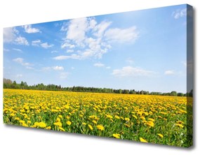 Obraz na plátne Púpava príroda 125x50 cm