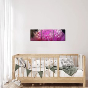 Obraz kvetiny v ružovom dyme (s hodinami) (90x30 cm)