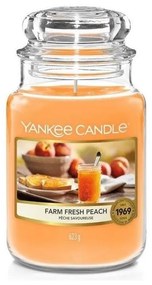 Yankee Candle Yankee Candle - Vonná sviečka FARM FRESH PEACH veľká 623g 110-150 hod. YC0013