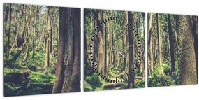 Obraz cesty medzi stromami (s hodinami) (90x30 cm)