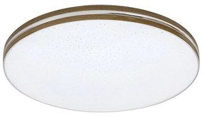 Rabalux 71177 - LED Stropné svietidlo OSCAR LED/18W/230V 3000K pr. 34 cm