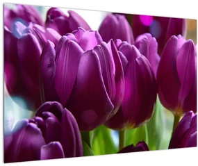 Obraz tulipánov (90x60 cm)