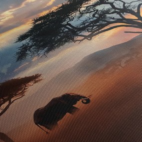 Obraz - Národný park Serengeti, Tanzánia, Afrika (120x50 cm)