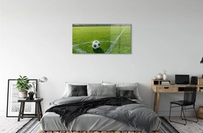 Obraz na skle Futbalový štadión trávy 140x70 cm