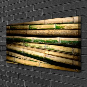 Obraz na plátne Bambus rastlina príroda 120x60 cm